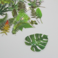 Наклейки для творчества пластик PVC "Зеленые листья" набор 60 шт 10х14 см