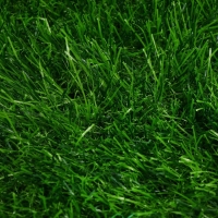 Газон искусственный, для спорта, ворс 40 мм, 1 &times; 2 м, зелёный, Greengo