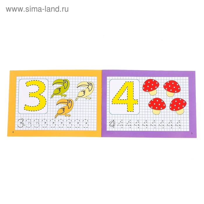 Набор многоразовых прописей с маркером &laquo;Обучающий&raquo;, для девочек 4 шт. по 12 стр.