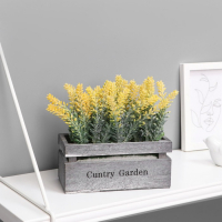 Бонсай "Лаванда в ящичке" 8х16,5х15 см, микс Бонсай "Лаванда в ящичке" 8х16,5х15 см, микс