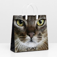 Пакет "Кэт", мягкий пластик, 30 х 30 см, 150 мкм Пакет "Кэт", мягкий пластик, 30 х 30 см, 150 мкм