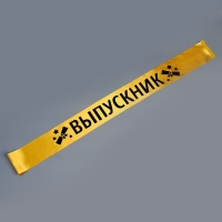 Карнавальный набор &laquo;Выпускник университета&raquo;, 2 предмета: лента золотая + булавка, ободок с шапочками