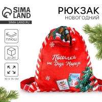 Сумка детская новогодняя «Посылка от Деда Мороза», 35 х 30 см., на новый год Сумка детская новогодняя «Посылка от Деда Мороза», 35 х 30 см., на новый год