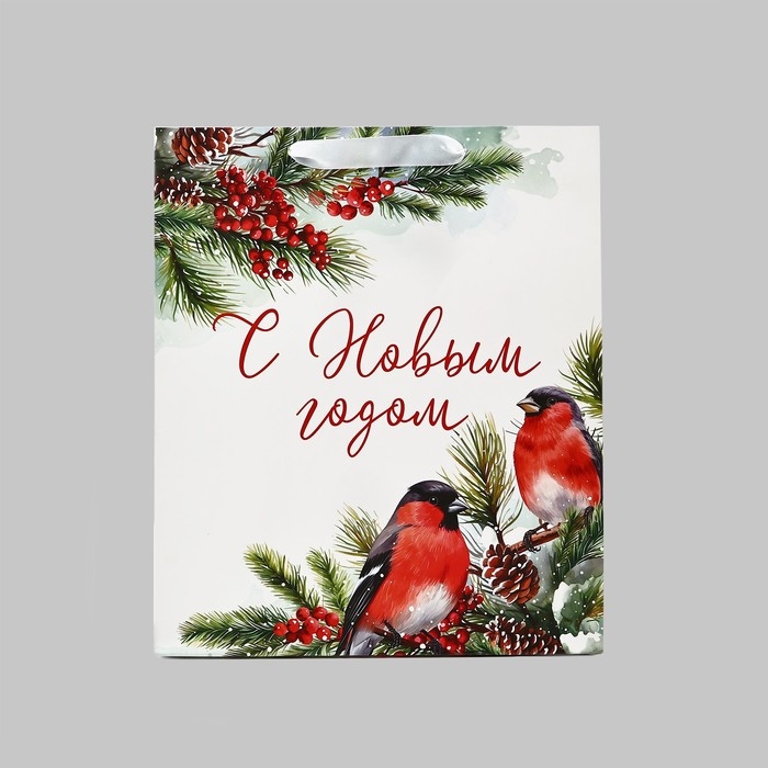 Пакет подарочный новогодний ламинированный &laquo;Снегири&raquo;, ML 23 х 27 х 11.5 см , Новый год