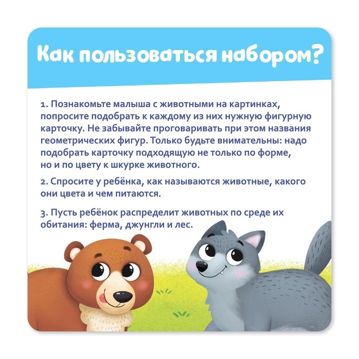 Развивающий набор &laquo;Найди шубку&raquo;