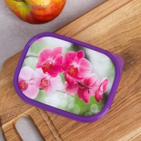 Ланч-бокс &laquo;Орхидеи&raquo;, 500 мл
