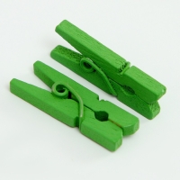 Набор прищепок для декора 50 шт., зелёные — 2,5 см Набор прищепок для декора 50 шт., зелёные — 2,5 см