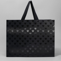 Пакет ламинированный горизонтальный &laquo;Россия - наша страна&raquo;, L 40 х 31 х 11.5 см