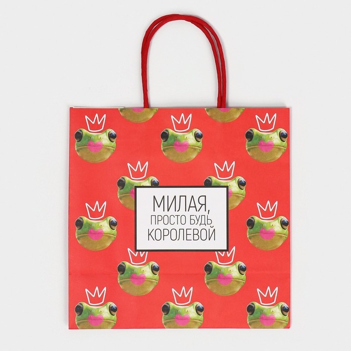 Пакет подарочный, упаковка, &laquo;Королева&raquo;, 22 х 22 х 11 см