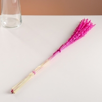 Набор сухоцветов "Райграс", банч 21 шт, длина 60 (+/- 6 см), фуксия