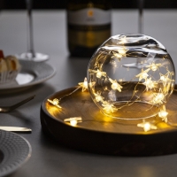 Гирлянда &laquo;Нить&raquo; 2 м роса с насадками &laquo;Звезда&raquo;, IP20, серебристая нить, 20 LED, свечение тёплое белое, 2 режима, ААх2