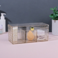 Органайзер для хранения «SHINE», с крышкой, 3 секции, 21,5 × 8,8 × 9,5 см, цвет прозрачный/золотистый Органайзер для хранения «SHINE», с крышкой, 3 секции, 21,5 × 8,8 × 9,5 см, цвет прозрачный/золотистый