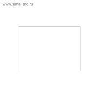 Бумага для черчения А4, 20 листов, блок 200 г/м&sup2;, ErichKrause, без рамки, в картонной папке