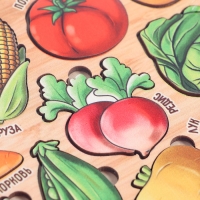 Рамки-вкладыши «Продуктовый магазин. Овощи» Рамки-вкладыши «Продуктовый магазин. Овощи»