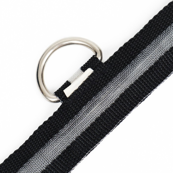 Ошейник с подсветкой размер XL, ОШ 52-60 х 2,5 см, 3 режима свечения чёрный Ошейник с подсветкой размер XL, ОШ 52-60 х 2,5 см, 3 режима свечения чёрный