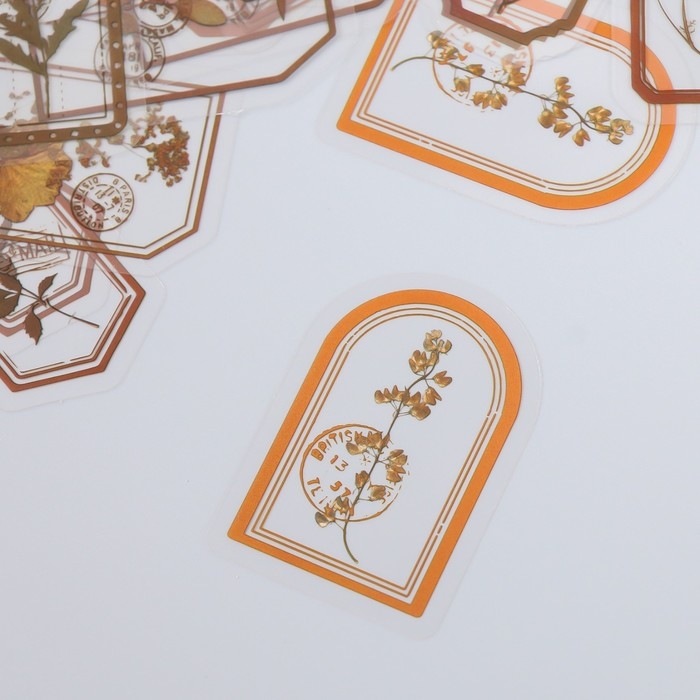 Наклейки для творчества Наклейки для творчества "Теги - Дикие цветы" набор 30 шт 0,2х8х11 см