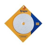 Алмазный гибкий шлифовальный круг ТУНДРА "Черепашка", для мокрой шлифовки, 100 мм, № 50 Алмазный гибкий шлифовальный круг ТУНДРА "Черепашка", для мокрой шлифовки, 100 мм, № 50