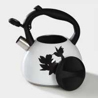 Чайник со свистком из нержавеющей стали Доляна &laquo;Колибри&raquo;, 3 л, с индикатором нагрева