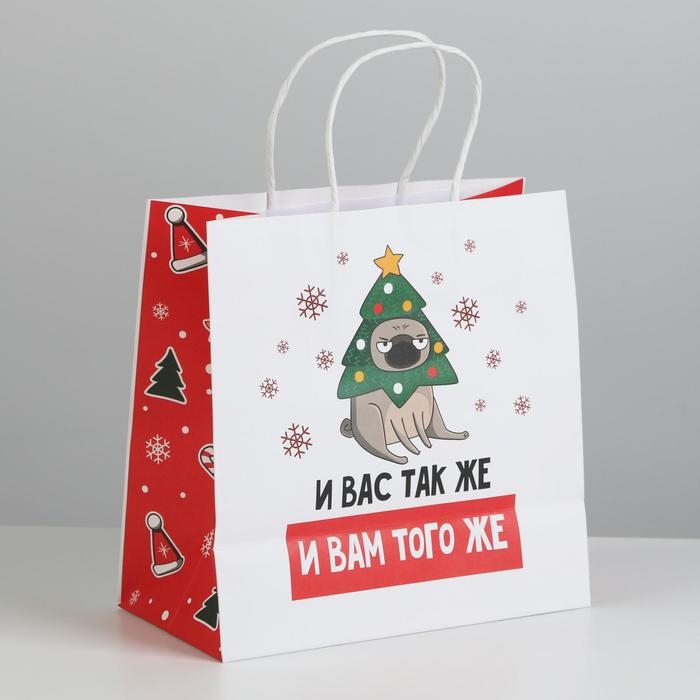 Пакет подарочный новогодний «А вас также», 22 х 22 х 11 см, Новый год Пакет подарочный новогодний «А вас также», 22 х 22 х 11 см, Новый год