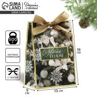 Пакет подарочный новогодний с лентой &laquo;Зима&raquo;, 13 х 19 х 9 см