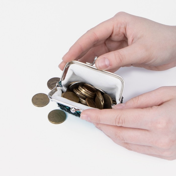 Кошелёк на фермуаре, цвет зелёный/серебристый