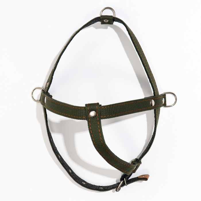 Шлейка брезентовая на фетре многоразмерная, 2,5 см, ОШ 44-68, ОГ 46-80 см, тёмно-зелёная Шлейка брезентовая на фетре многоразмерная, 2,5 см, ОШ 44-68, ОГ 46-80 см, тёмно-зелёная