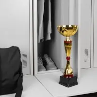 Кубок Awardee, большой, красный