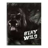 Комплект тетрадей из 4 штук, 96 листов в клетку Calligrata "Хищники", обложка мелованный картон, блок офсет Комплект тетрадей из 4 штук, 96 листов в клетку Calligrata "Хищники", обложка мелованный картон, блок офсет