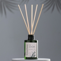 Диффузор ароматический"EcoLife",100мл,REDFRUITS Диффузор ароматический"EcoLife",100мл,REDFRUITS