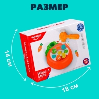 Стучалка развивающая &laquo;Морковка&raquo;