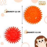 Набор массажных мячей ONLYTOP &laquo;Ёжики&raquo;: 2 шт., d=4,5, d=5,5 см, цвета МИКС