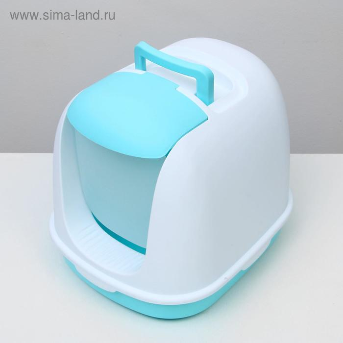 Туалет закрытый с совком, 47 х 40 х 39 см, бело-голубой Туалет закрытый с совком, 47 х 40 х 39 см, бело-голубой