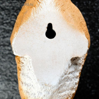 Подвесной декор - кормушка "Белочка" 11х11х35см Подвесной декор - кормушка "Белочка" 11х11х35см