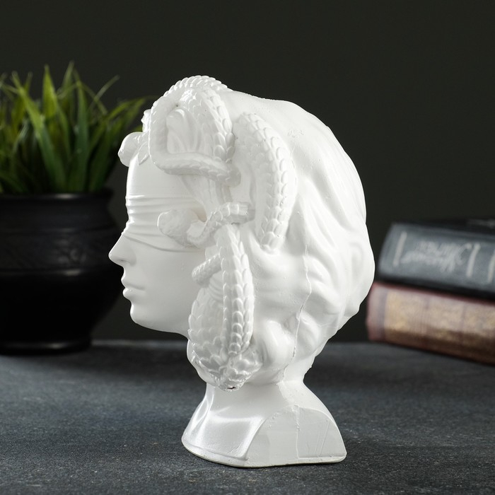 Кашпо - органайзер "Горгона Медуза" белая, 12,5х16х10,5см