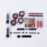 Набор профессиональной косметики"Miss Young" №9 Набор профессиональной косметики"Miss Young" №9