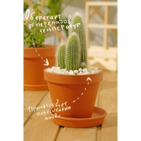 Мраморная крошка "Рецепты Дедушки Никиты", серая, фр 5-10 мм , 5 кг Мраморная крошка "Рецепты Дедушки Никиты", серая, фр 5-10 мм , 5 кг