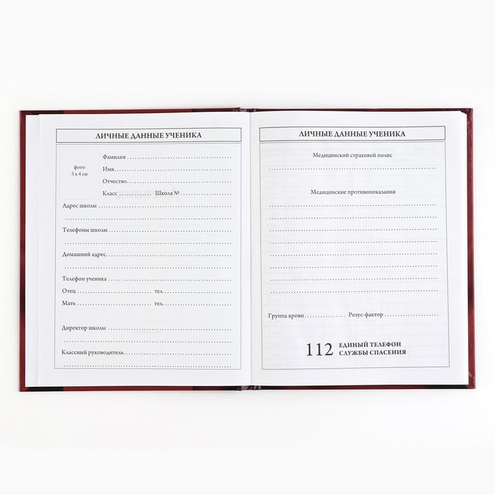 Дневник школьный 5-11 класс, в твердой обложке, 48 л. &laquo;Патриотический&raquo;