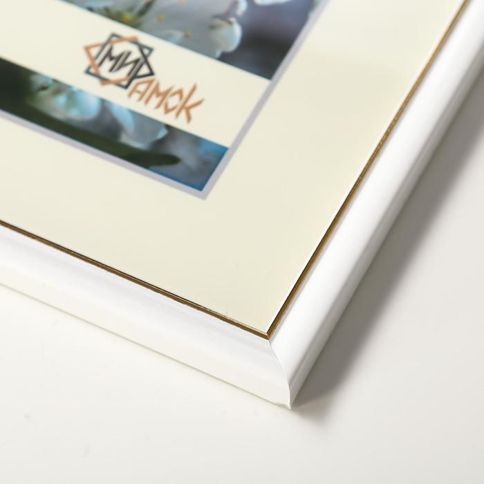 Фоторамка пластик 1017-1105-1 30х40 см