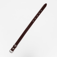 Ошейник кожаный на синтепоне, 65 х 3 см, ОШ 40-55 см, коричневый Ошейник кожаный на синтепоне, 65 х 3 см, ОШ 40-55 см, коричневый