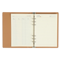 Органайзер на кольцах "Престиж" А5, 92 листа в линейку, обложка кожзам, МИКС Органайзер на кольцах "Престиж" А5, 92 листа в линейку, обложка кожзам, МИКС