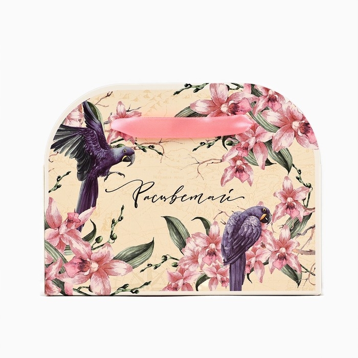 Переноска для цветов складная «Расцветай», 17 × 13 × 7 см Переноска для цветов складная «Расцветай», 17 × 13 × 7 см