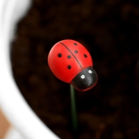 Штекер "Божья коровка Дарли" 2,5см, длина 25см, набор 10шт Штекер "Божья коровка Дарли" 2,5см, длина 25см, набор 10шт