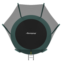 Батут ONLITOP, d=305 см, с лестницей, высота сетки 173 см, цвет зелёный