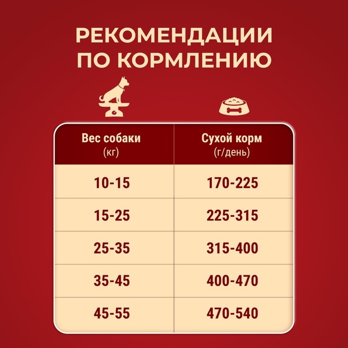 Сухой корм Purinа One medium/maxi для взрослых собак, говядина/рис, 10 кг Сухой корм Purinа One medium/maxi для взрослых собак, говядина/рис, 10 кг