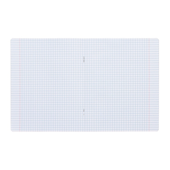 Комплект тетрадей из 10 штук, 12 листов в клетку Calligrata Комплект тетрадей из 10 штук, 12 листов в клетку Calligrata "Тигрёнок", обложка мелованный картон, ВД-лак, блок офсет, 5 видов по 2 штуки