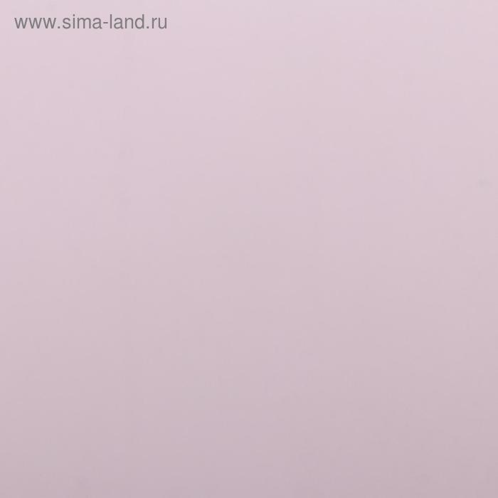 Пленка для цветов, 57 см х 5 м