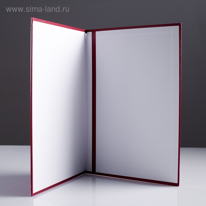 Папка адресная Папка адресная "На подпись" бумвинил, мягкая, бордовый, А4