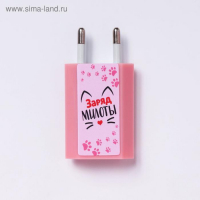 Зарядное устройство, попсокет, наушники, флешка и штекер &laquo;Happy meow box&raquo;, набор