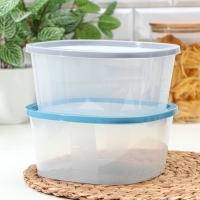 Контейнер для продуктов с мерной шкалой &laquo;BioFresh&raquo;, 2,65 л, прозрачный, крышка микс
