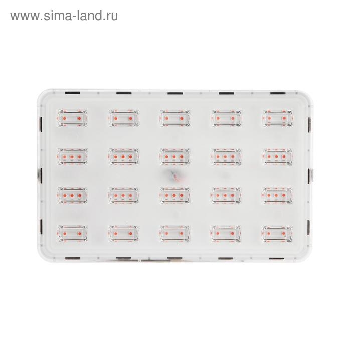 Фитопрожектор светодиодный Luazon, 50 Вт, IP65, 220 В, мультиспектральный